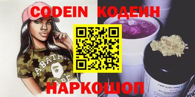 индика Можга