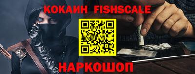 индика Можга