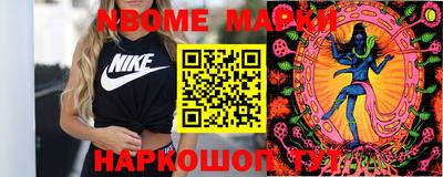 индика Можга