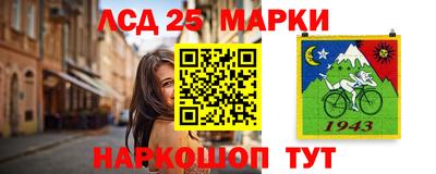индика Можга
