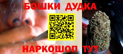 индика Можга