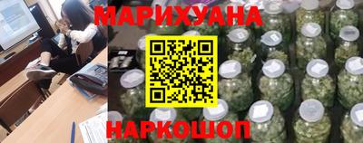 индика Можга