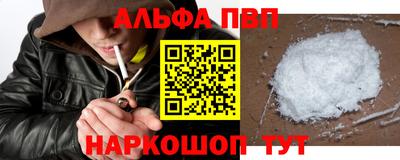 индика Можга