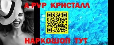 индика Можга