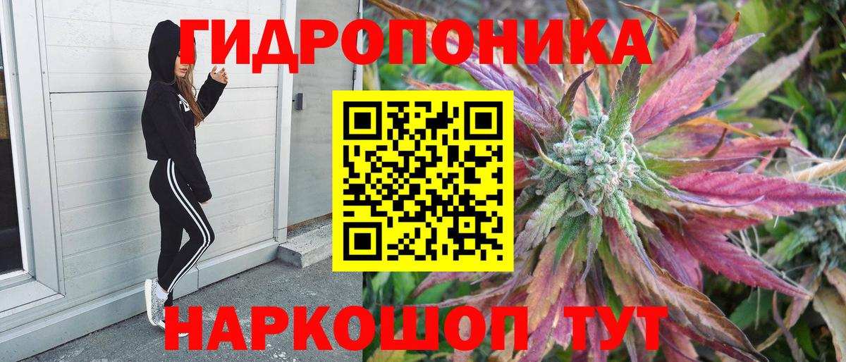 Шишки марихуана сатива  Шишки марихуана план  Вход с VPN  Конопля тримм  Тихорецк 